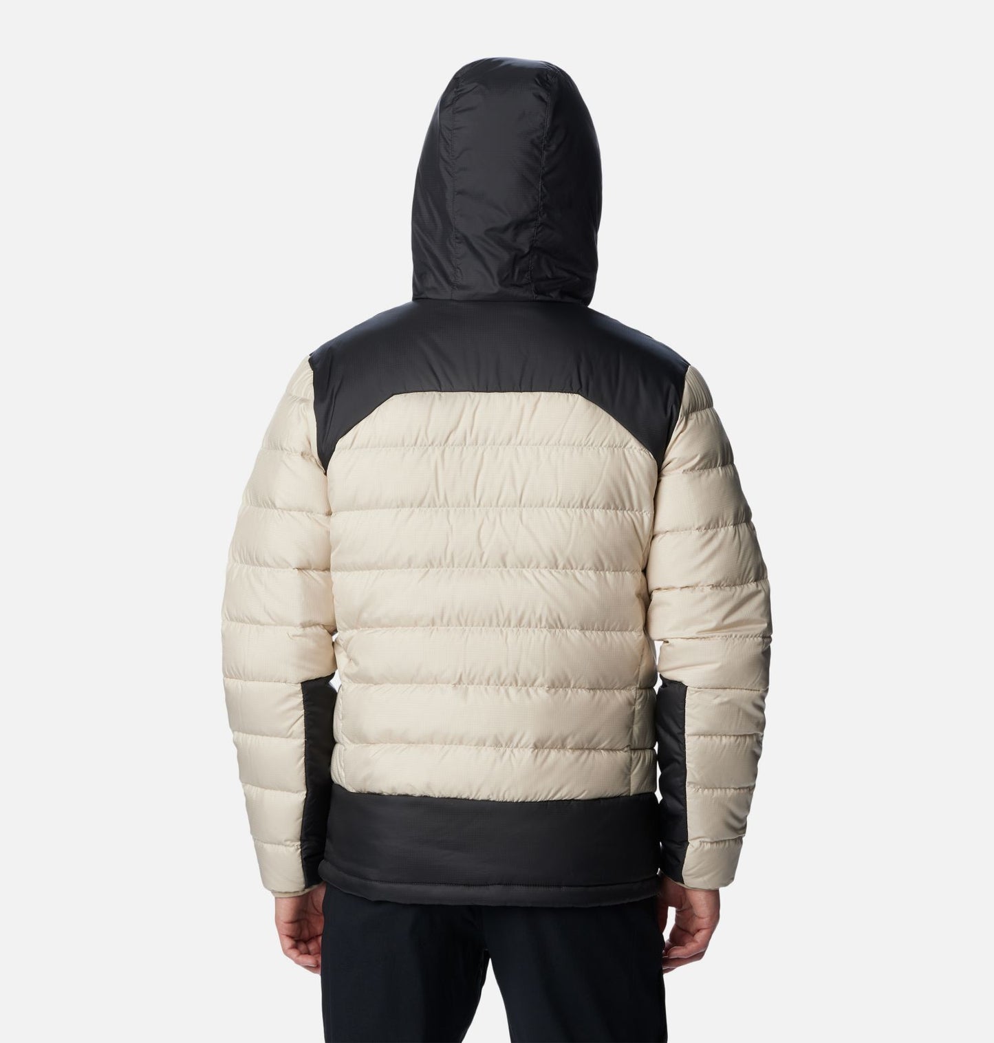 Men's Autumn Park™ Down Hooded Jacket